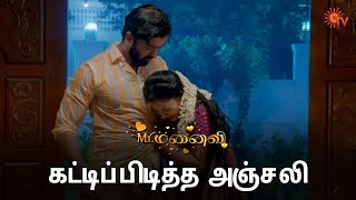 பல்லியை பார்த்து பயந்துட்டாங்க  MrManaivi  Semma Scenes  08 Aug 2024  Tamil Serial  Sun TV [upl. by Past]