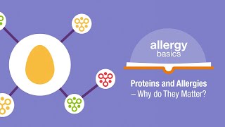 Proteins and Allergies – Why do they matter  Allergy Insider [upl. by Islek]