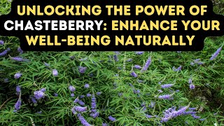 CHASTEBERRY Unlocking the Benefits of Chasteberry for Womens Health  VITEX FOR HEALTH [upl. by Madonia617]