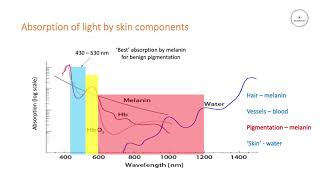 IPL systems and how to choose the right filter [upl. by Attaynek908]