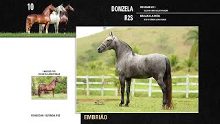 10 Donzela R2S Embrião [upl. by Ruffina]