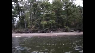 Moose Swimming across the Hay Creek Narrows Chippewa Flowage  by Corey Meyer [upl. by Sokem]