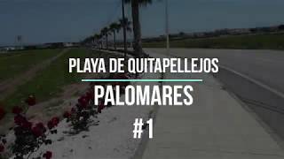 Palomares  Quitapellejos [upl. by Jory198]