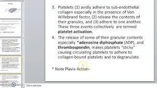 Platelets Thrombocytes [upl. by Yirinec]