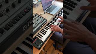 Oberheim OBX8  Bitimbral quotDigital Wavesquot Patch [upl. by Dennis]