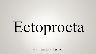 How To Say Ectoprocta [upl. by Tnias]