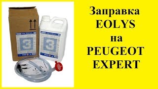 Заправка EOLYS на PEUGEOT EXPERT [upl. by Thadeus]