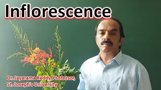 Inflorescence Types Plant Taxonomy Dr Jayarama Reddy St Josephs University Bengaluru India [upl. by Ydissahc]