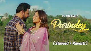 Parindey  B Praak  Latest Punjabi Songs 2024  Parindey B Praak Slowed And Reverb  Lofi Song [upl. by Dogs]