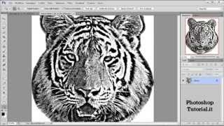 Trasformare la foto in stampa serigrafica con Photoshop [upl. by Ikkin]