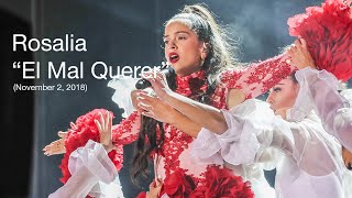 Rosalia El Mal Querer [upl. by Yuu]