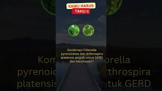 Chlorella pyrenoidosa dan Arthrospira platensis untuk GERD dan Kecemasan shorts asamlambung [upl. by Timms]