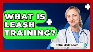 What Is Leash Training  PetGuide360com [upl. by Levey736]