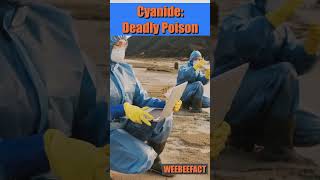 Cyanide Deadly Poison  science sciencefacts [upl. by Bartram]