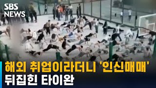 구직 청년들 모아 인신매매에 장기적출까지…타이완 발칵  SBS [upl. by Ihcelek]