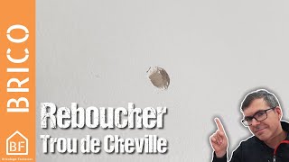 Comment reboucher un trou de cheville dans un mur en plâtre [upl. by Patman]