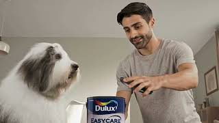 Transform Your Home with Dulux Paints 🎨✨ [upl. by Eivol]