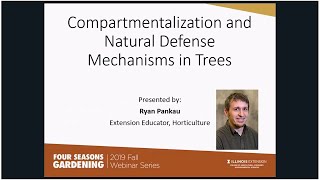 Tree Compartmentalization [upl. by Peters]