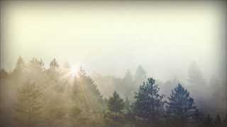 Trees and Fog Church Motion Graphic  Sharefaithcom [upl. by Booze]