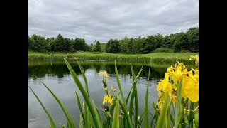 Back on the Fly at Sharpley Springs [upl. by Huttan]