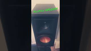 Klipsch Best Budget Bookshelf Speakers RP600M shorts klipsch speakers [upl. by Aihsemak892]