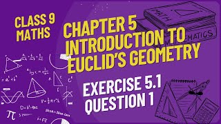 Class 9th Maths  Chapter5  Exercise51 Question1 [upl. by Fonzie]