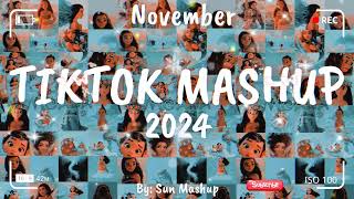 Tiktok Mashup November 💙2024💙 Not Clean [upl. by Riabuz]