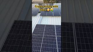 Crypto Mining with Solar Panels 🌞🤑 cryptocurrency bitcoin tech solarminer eth dogecoin wow [upl. by Cargian]