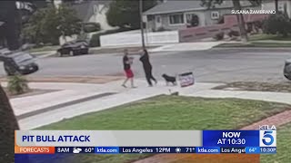 Pomona couple attacked by pit bull [upl. by Ettennyl]