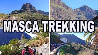 MASCA TREKKING  TENERIFE 4K [upl. by Akinej722]