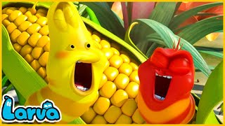 The LARVA ISLAND New episode 2019 The master chef l Must watch this [upl. by Marvin]