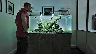 MY BEST 150cm NATURE AQUARIUM  EASY PLANTS NONCO2 [upl. by Priscilla]