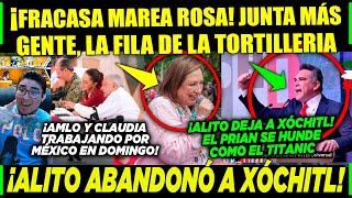 DOMINGAZO MAREA ROSA FRACASA XÓCHITL VALIÓ CHETOS ¡ALITO NO FUE POR ESTO [upl. by Dewey]