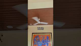 Soffit Ceiling Installation False Ceiling  ceilingworks falseceiling ceiling decorativeceiling [upl. by Coniah943]