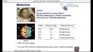 Immunogen Structure and Production Method as Determinants for Vaccine Quality [upl. by Kentigerma]