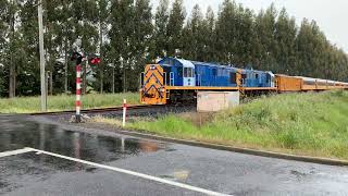 Dunedin Railways In Spring And Summer 2018  19 [upl. by Sanfred]