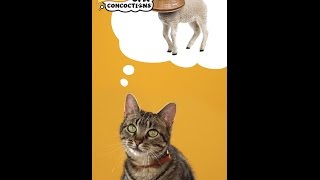 Cat Concoctions® Wet Cat Food  Friskies® Commercial 30 [upl. by Ahael]