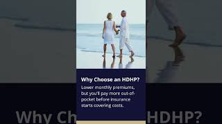 Understanding High Deductible Health Plan HDHP [upl. by Aninep]