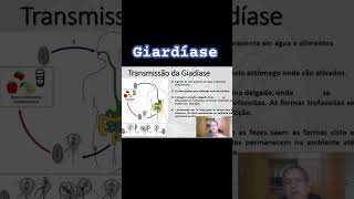 Giardíase biology biologia enem bio curiosidades shortvideo revisãoenem shortsvideo enem24 [upl. by Kela]