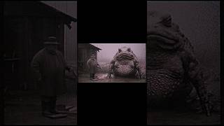 Curious man walks up to giant toad toad croaks man is then scared nightmare scary toast ai [upl. by Egres]