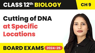 Cutting of DNA at Specific Locations  Class 12 Biology Chapter 9  CBSE 202425 [upl. by Ydualc958]