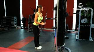 Triceps Exercises  Triceps pushdown  Rope Attachment [upl. by Constant907]