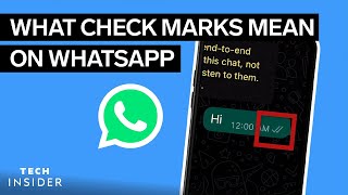 What Do The Check Marks Mean On WhatsApp  Tech Insider [upl. by Jodie]