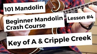 Cripple Creek Beginner Mandolin Lesson [upl. by Hecht508]