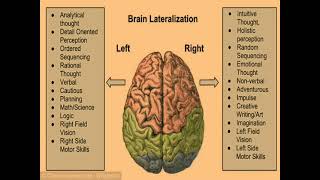 Theory of brain lateralization। Nursing ।psychologyfornurses [upl. by Yekram]