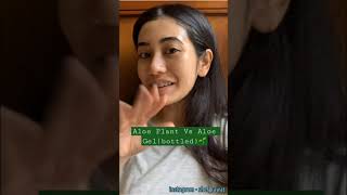 Should we Buy Aloe Gel or Use Aloe Vera Plant gel at homeshorts youtubeshorts youtubeindia [upl. by Kathy]