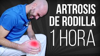 ARTROSIS DE RODILLA rutina de EJERCICIOS de 1 HORA en casa [upl. by Nodab]