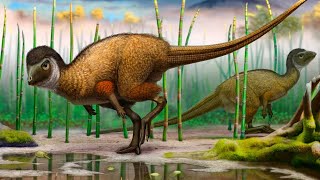 Kulindadromeus The Remarkable Feathered Ornithischian Dinosaur [upl. by Ameluz]