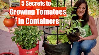 5 Secrets to Grow LOTS of Tomatoes in Containers  Container Garden Series 1🍅🍅🍅 [upl. by Lean]