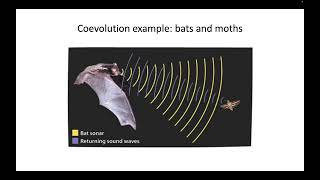 07 Community Ecology Part 2 [upl. by Chamberlin]